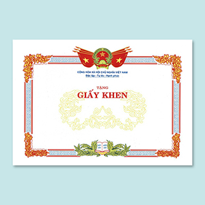Giấy khen / Bằng khen